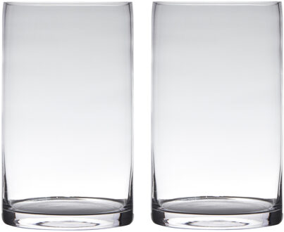 Set van 2x stuks transparante home-basics cylinder vorm vaas/vazen van glas 30 x 15 cm - Vazen