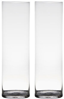 Set van 2x stuks transparante home-basics cylinder vorm vaas/vazen van glas 50 x 15 cm - Vazen