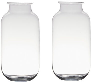 Set van 2x stuks transparante home-basics vaas/vazen van glas 35 x 17 cm