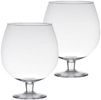 Set van 2x stuks transparante luxe stijlvolle Brandy vaas/vazen van glas 20 cm - Vazen