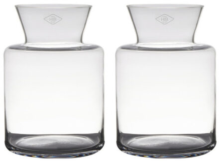 Set van 2x stuks transparante luxe vaas/vazen van glas 27 x 19 cm
