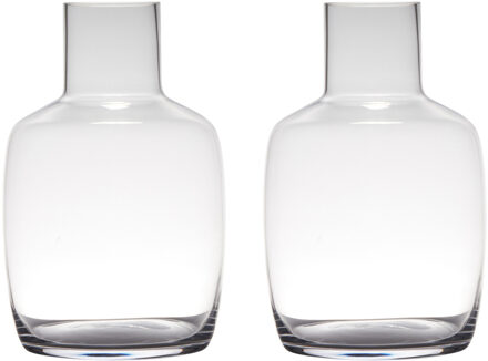 Set van 2x stuks transparante luxe vaas/vazen van glas 30 x 19 cm