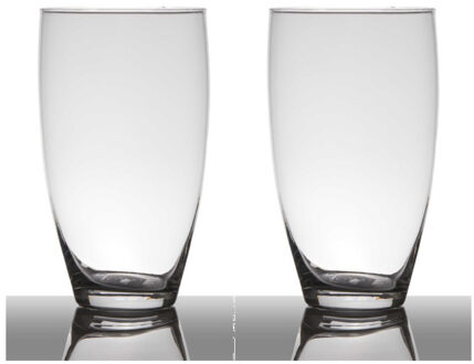 Set van 2x stuks vaas - transparant - 25 x 14 cm - glas - home-basics - vazen - bloemenvaas