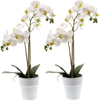 Set van 2x stuks witte orchidee kunstplanten in kunststof pot 65 cm - Kunstplanten Multikleur