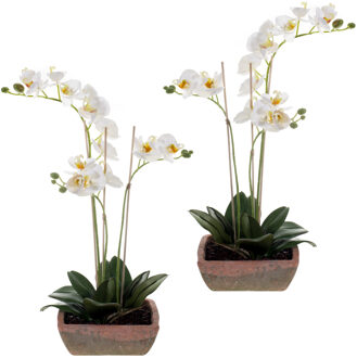 Set van 2x stuks witte orchidee kunstplanten in terracotta pot 50 cm - Orchidaceae - Woondecoratie/accessoires - Kunstplanten - Nepplanten - Orchidee planten in pot