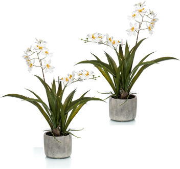 Set van 2x stuks witte orchidee Orchidaceae kunstplanten in keramische pot 45 cm - Kunstplanten Multikleur