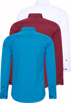 Set van 3 zakelijke overhemden Veelkleurig