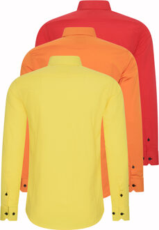 Set van 3 zakelijke overhemden Veelkleurig