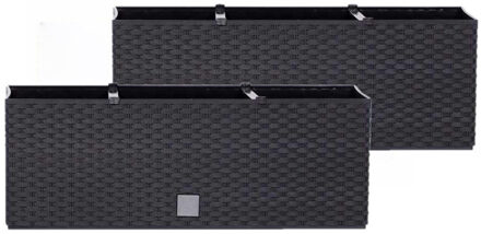 Set van 36x stuks kunststof Rato bloembak/plantenbak met irrigatiesysteem antraciet 51 x 19 x 18 cm