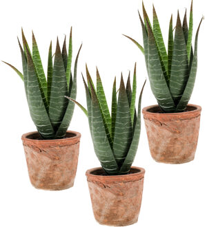 Set van 3x stuks Aloe Vera kunstplant in terracotta pot 23 cm - Aloe Barbadensis - Woondecoratie/accessoires - Kunstplanten - Nepplanten - Aloe vera planten in pot