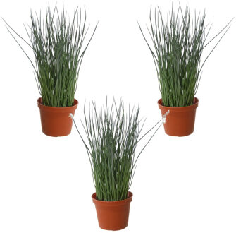 Set van 3x stuks groene grasplant kunstplanten in bruine kunststof pot 29 cm - Pennisetum - Woondecoratie