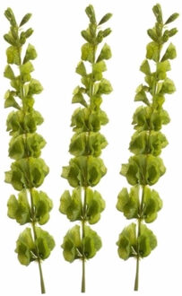 Set van 3x stuks kunstplant Molucella takken 80 cm groen