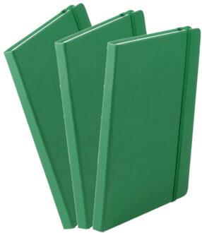 Set van 3x stuks luxe schriftjes/notitieboekjes groen met elastiek A5 formaat - Schriften