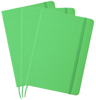 Set van 3x stuks luxe schriftjes/notitieboekjes groen met elastiek A5 formaat - Schriften