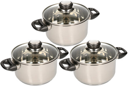 Set van 3x stuks RVS kookpannetjes / pannen met glazen deksels pannenset 16, 20 en 24 cm
