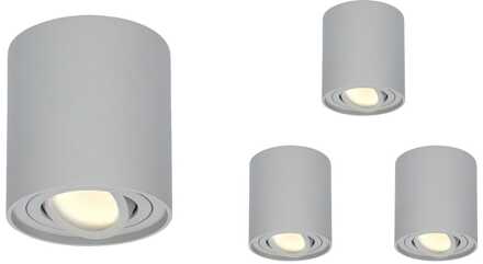 Set van 4 Ray LED opbouwspots - Rond - Dimbaar - 4 Watt 345 lumen - 2700K warm wit - Kantelbaar - GU10 - Plafondspot - IP20 Voor binnen - Grijs