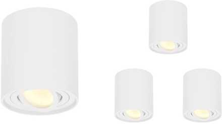 Set van 4 Ray LED opbouwspots - Rond - Dimbaar - 4 Watt 345 lumen - 2700K warm wit - Kantelbaar - GU10 - Plafondspot - IP20 Voor binnen - Wit
