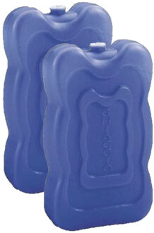 Set van 4x stuks grote koeltas/koelbox koelelementen blauw 350 gram 18 x 11 cm