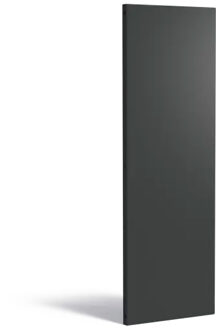 Sfeerpaneel staal BASIC 60 x 5 x 180 cm