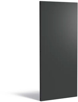 Sfeerpaneel staal BASIC 80 x 5 x 180 cm