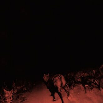 Shadow On Everything (LP)