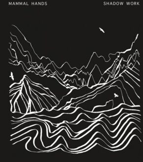 Shadow Work (LP)