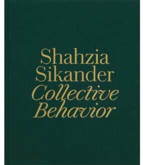 Shahzia Sikander - Shahzia Sikander