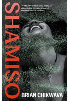 Shamiso - Brian Chikwava