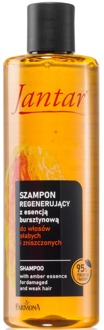 Shampoo Jantar Jantar Chelating Shampoo With Amber Extract 5-in-1 For Dull & Damaged Hair Caused By Hard Water Residue 300 ml