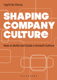 Shaping Company Culture -  Ingrid de Clercq (ISBN: 9789463834339)