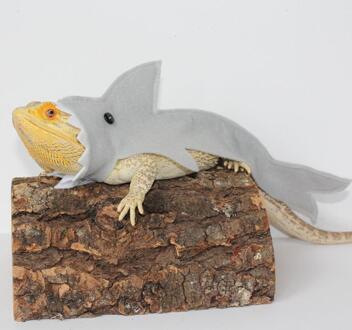 Shark Kostuum Voor Baardagaam Reptielen Kleding Hagedis Shark Kleding Kleine Pet Kleding Gecko