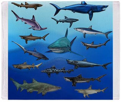 Shark Verzamelen Zacht Koraal Fleece Stof Gooi Deken Slaapbank Reizen Deken 58X80 Inch 50X60inch 40X50inch 100x125cm Thick