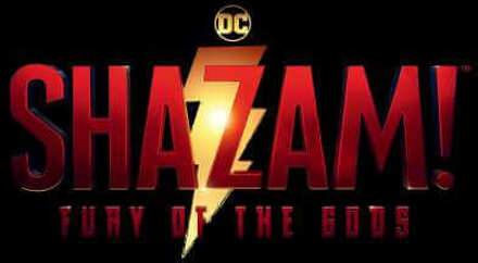 Shazam! Fury of the Gods Logo Unisex T-Shirt - Black - 4XL Zwart