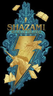 Shazam! Fury of the Gods Realm Of The Gods Hoodie - Black - XL - Zwart