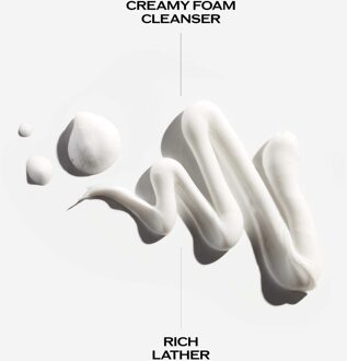 SHISEIDO Clarifying Cleansing Foam 125ml