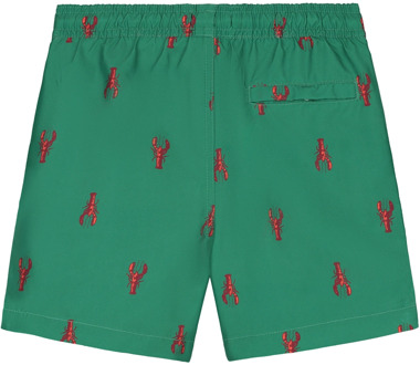 SHIWI jongens zwembroek Groen - 146-152