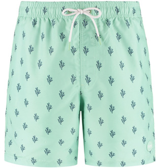 SHIWI jongens zwembroek Groen - 146-152