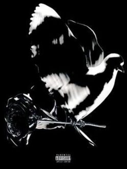 Shoot For The Stars Aim For The Moon