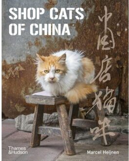 Shop Cats Of China - Marcel Heijnen