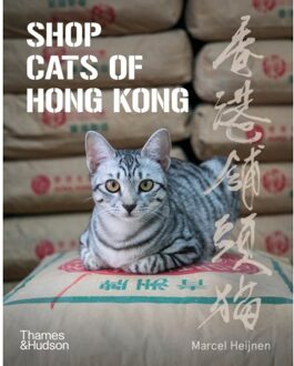 Shop Cats Of Hong Kong - Marcel Heijnen