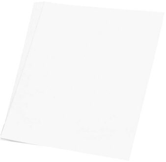 Shoppartners 10x stuks wit hobby karton vellen 48 x 68 cm