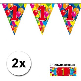 Shoppartners 2 Gekleurde vlaggenlijnen 1 jaar met sticker Multi