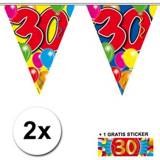 Shoppartners 2 Gekleurde vlaggenlijnen 30 jaar met sticker Multi