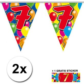 Shoppartners 2 Gekleurde vlaggenlijnen 7 jaar met sticker Multi