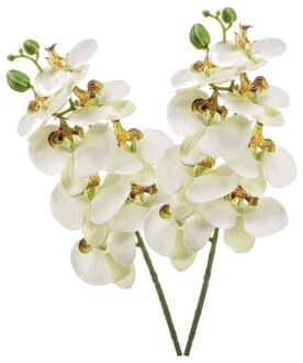 Shoppartners 2 stuks witte Phaleanopsis vlinderorchidee kunstbloemen 70 cm decoratie - Kunstbloemen