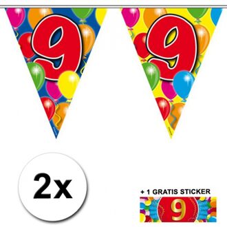 Shoppartners 2 Vlaggenlijnen 9 jaar met gratis sticker