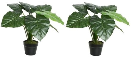 Shoppartners 2x Groene Colocasia/taro kunstplant 52 cm in zwarte pot