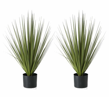 Shoppartners 2x Groene grasplanten/kunstplanten Carex  68 cm in zwarte pot - Kunstplanten/nepplanten - Grasplanten