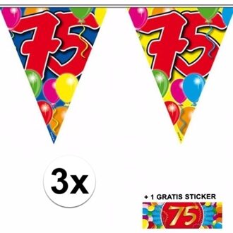 Shoppartners 3 Gekleurde slinger 75 jaar met sticker Multi