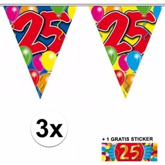 Shoppartners 3 Gekleurde slingers 25 jaar met sticker Multi